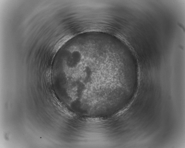 X0000101141121200807251020