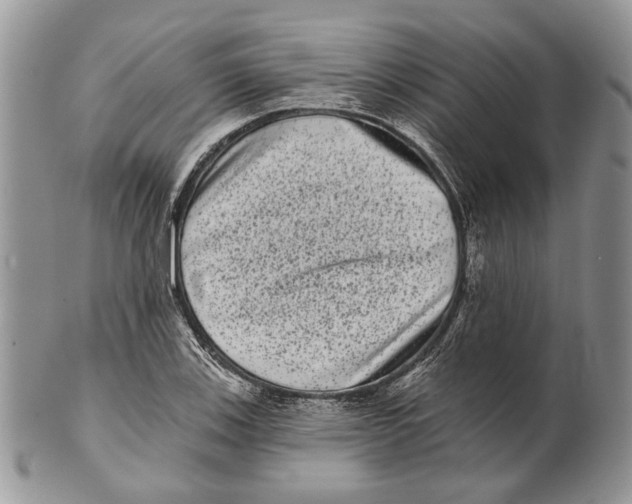 X0000101141123200807251020