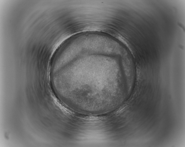 X0000101141124200807251020