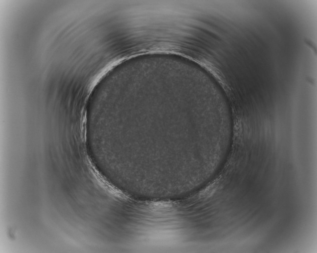 X0000101141126200807251020