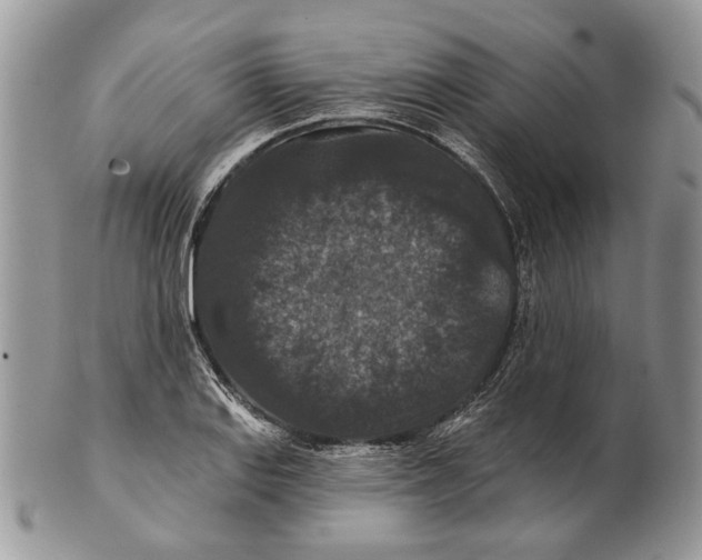 X0000101141127200807251020