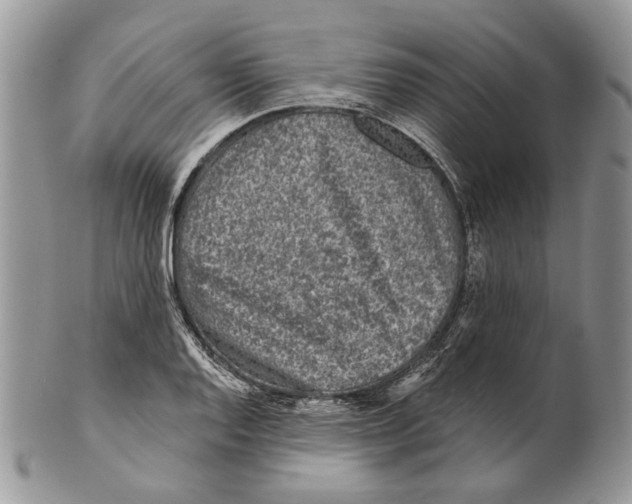 X0000101141128200807251020