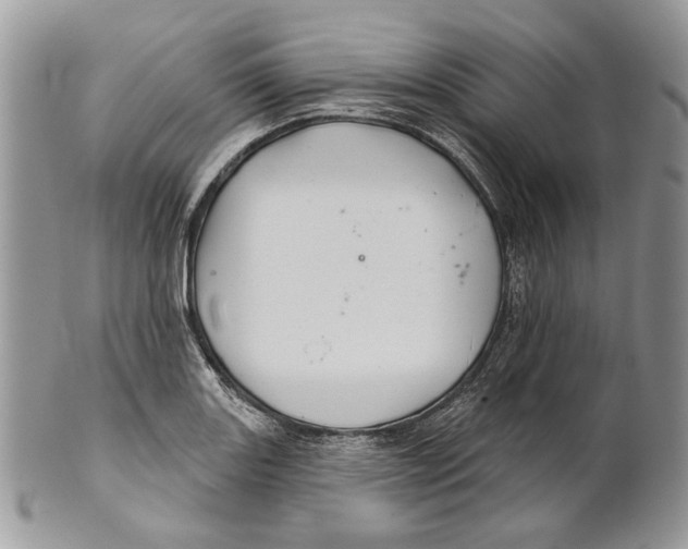 X0000101141131200807251020