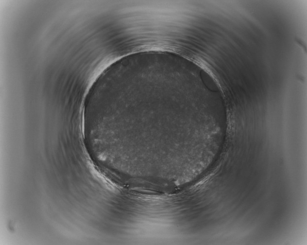 X0000101141132200807251020