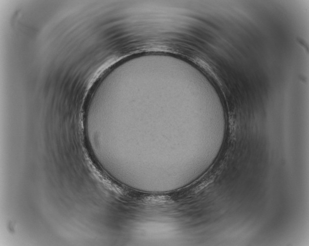 X0000101141133200807251020