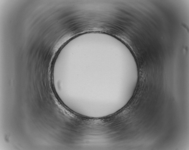 X0000101141135200807251020