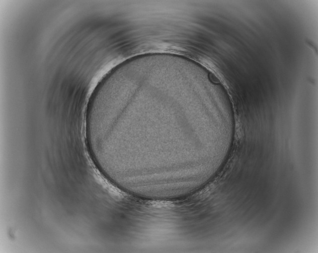 X0000101141136200807251020