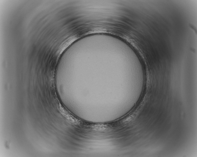 X0000101141137200807251020