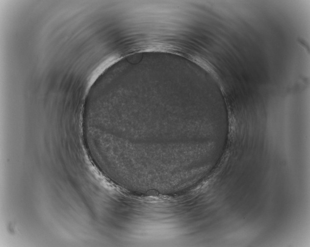 X0000101141138200807251020