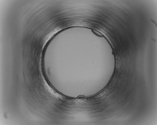 X0000101141139200807251020