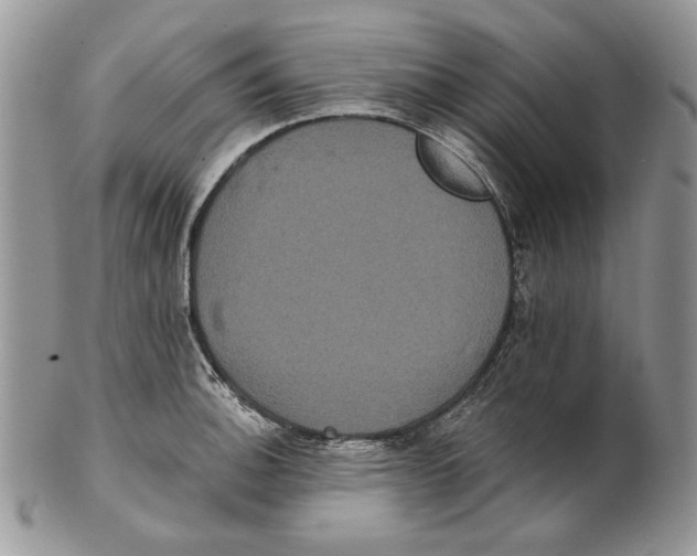 X0000101141140200807251020