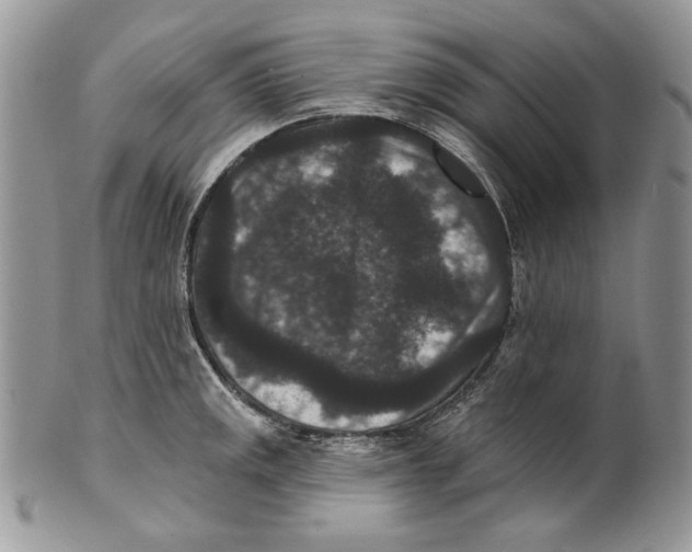 X0000101141141200807251020