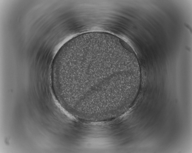 X0000101141142200807251020