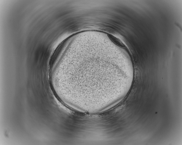 X0000101141143200807251020