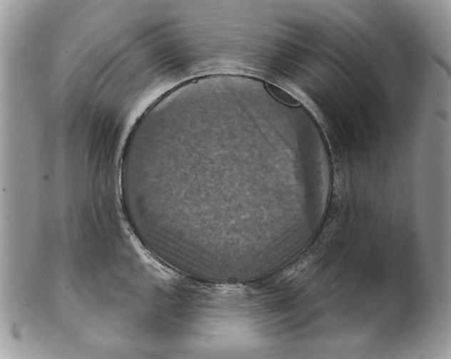 X0000101141144200807251020