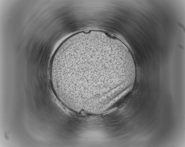 X0000101141148200807251020