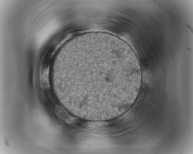 X0000101141150200807251020