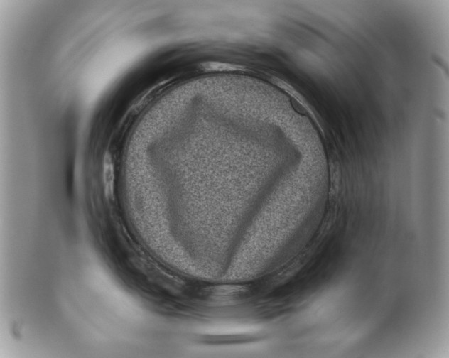 X0000101141151200807251020