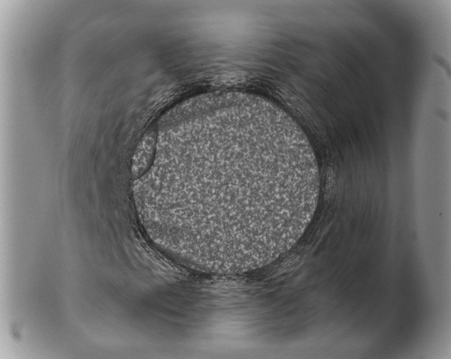 X0000101141153200807251019