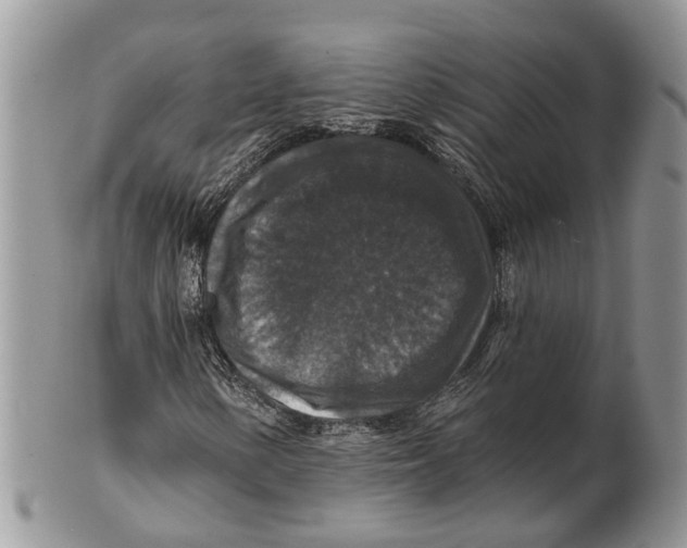 X0000101141154200807251019