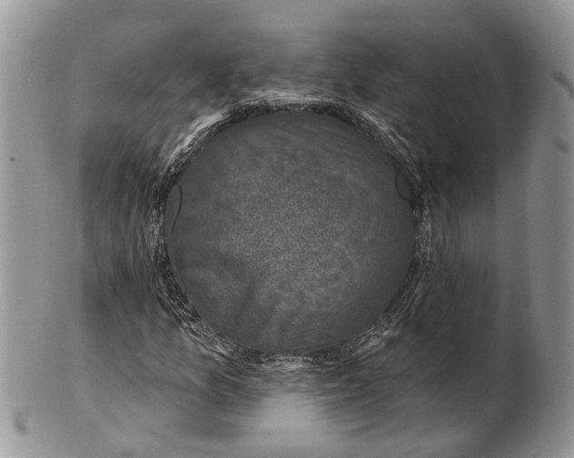 X0000101141157200807251019