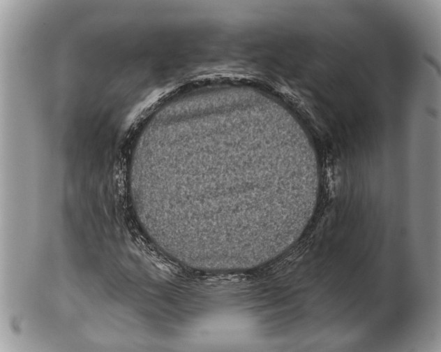 X0000101141159200807251019