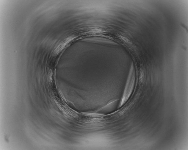 X0000101141161200807251019