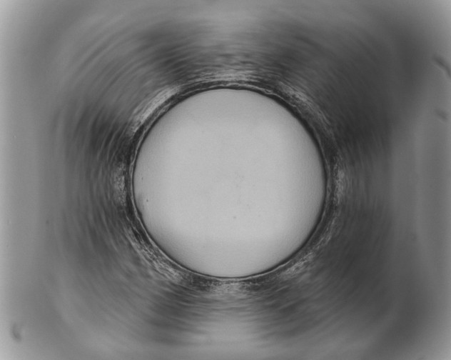 X0000101141162200807251019