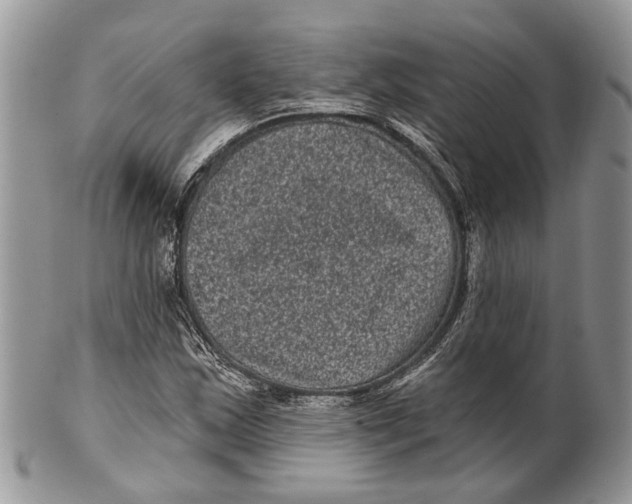 X0000101141163200807251019