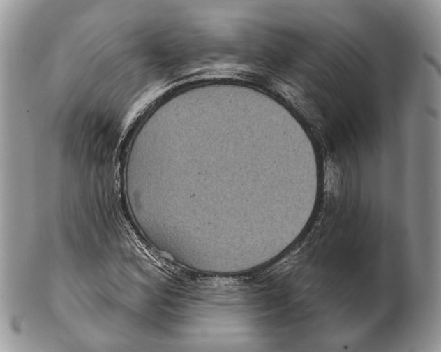 X0000101141164200807251019