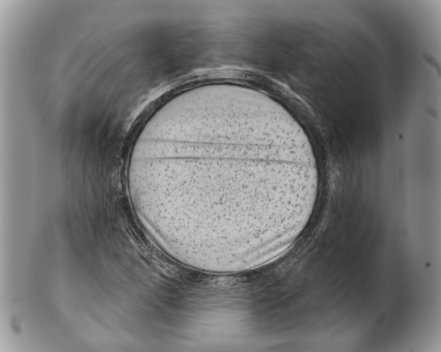 X0000101141166200807251019