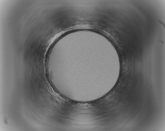 X0000101141168200807251019