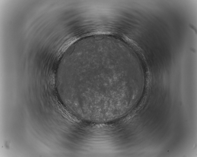 X0000101141169200807251019