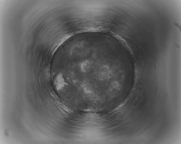 X0000101141170200807251019