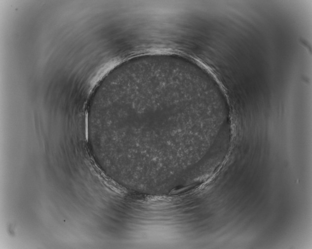 X0000101141171200807251019