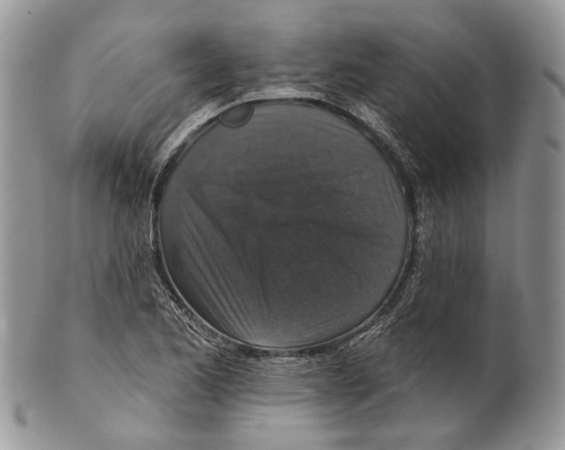 X0000101141173200807251019