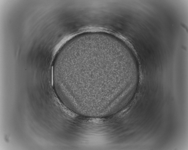 X0000101141175200807251019