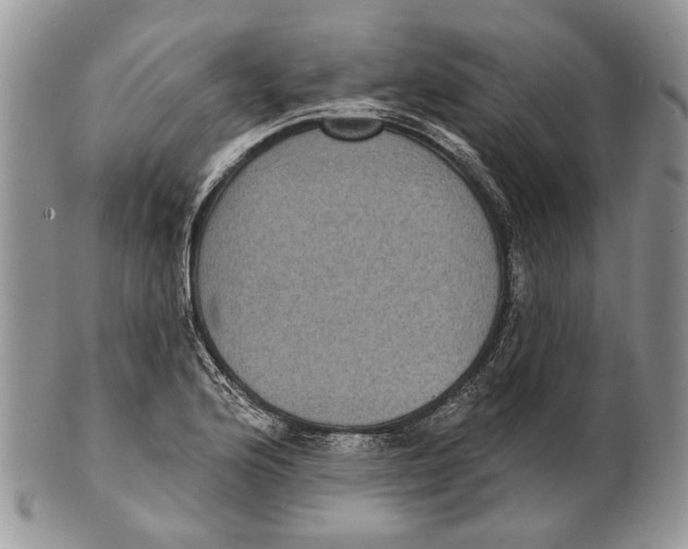 X0000101141176200807251019