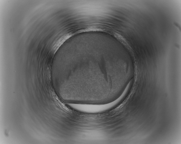 X0000101141177200807251019