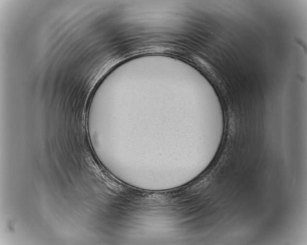 X0000101141178200807251019