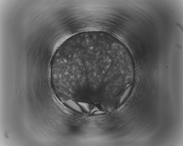 X0000101141179200807251019