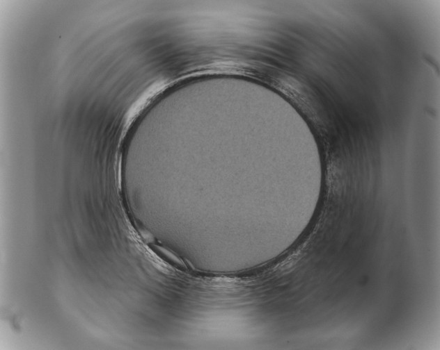 X0000101141180200807251019