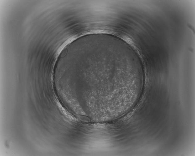 X0000101141181200807251019