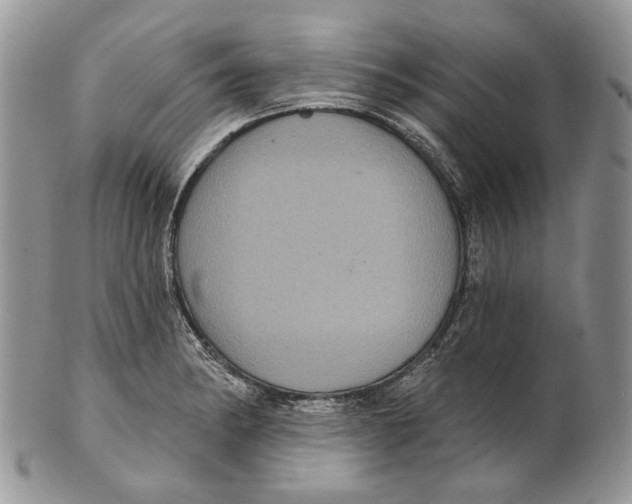 X0000101141182200807251019