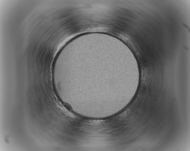 X0000101141184200807251019