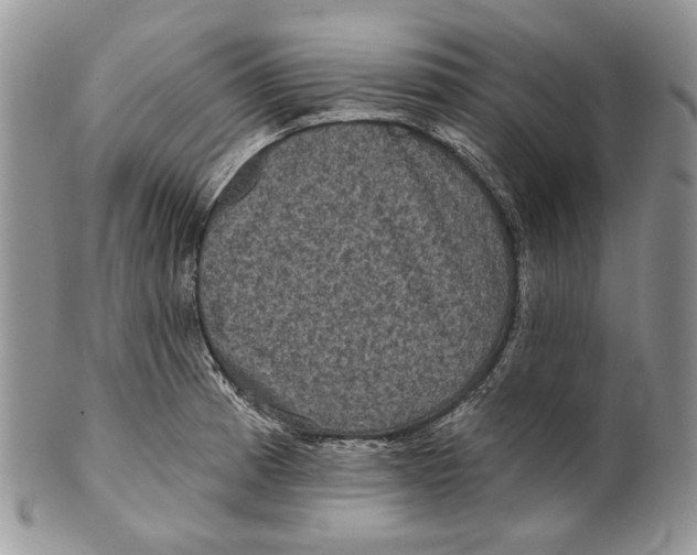 X0000101141185200807251019