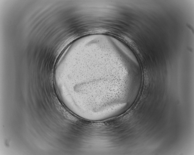 X0000101141186200807251019