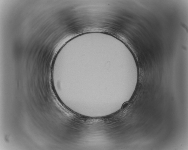 X0000101141187200807251019