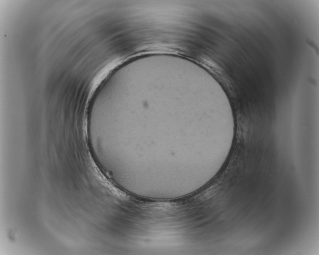 X0000101141188200807251019