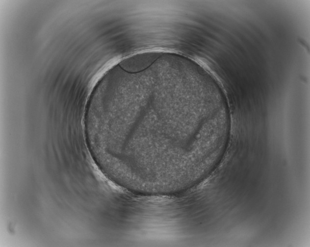 X0000101141189200807251019